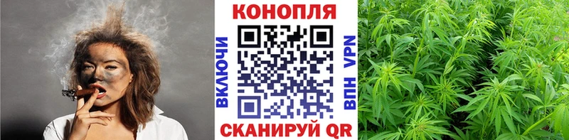 Бошки марихуана конопля  Сурск 